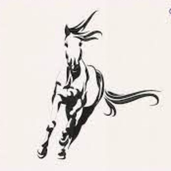 SADDLEBRED MEN'S VINTAGE PURE COTON W/ THICK INSULATED LINING - Picture 6 of 17